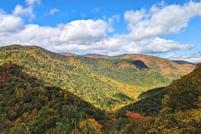When is Peak Fall Foliage in Asheville [2023 Predictions]